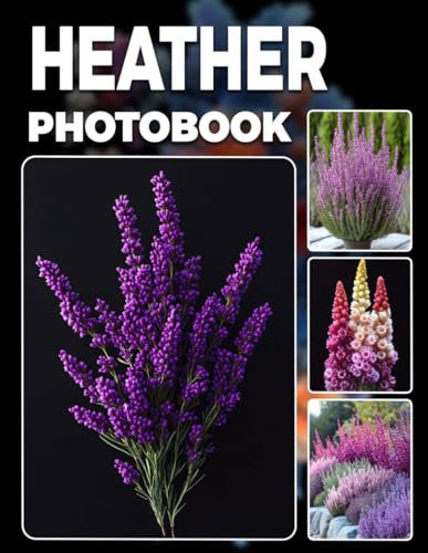 Heather Photo Book: Majestic Highland Photography Gift Celebrating Scotland's Heather-Covered Hills And Tranquil Countryside Scenes Ideal For Nature Enthusiasts
