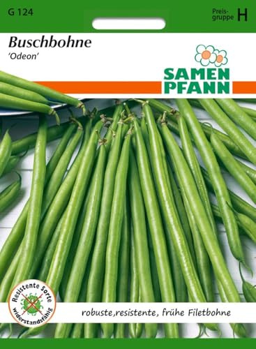 SAMEN PFANN® Buschbohne, Odeon - Bohnen-Samen Gemüse-Samen Saatgut Samen (Phaseolus vulgaris)