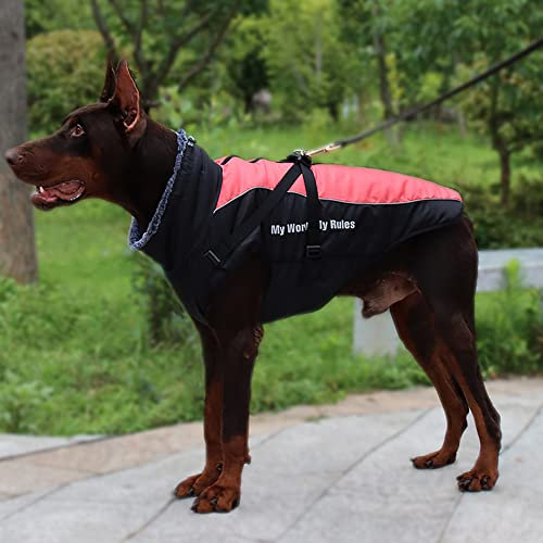 Nyescasa Hundemantel Winter Hundebekleidung Wasserdicht Hundejacke mit Geschirr, Reflektierend, Einstellbar Hunde Winterjacke 5XL für mittelgroße und große Hunde, Outdoor-Sport Winddichte Hundeweste