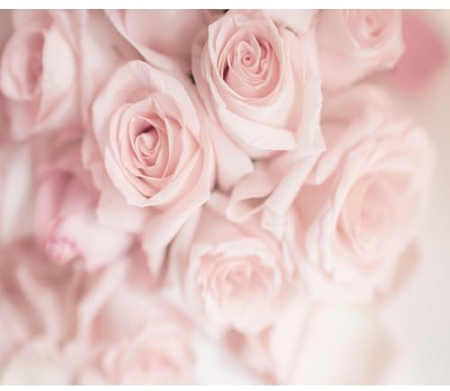 murando - Vlies Fototapete Blumen Rosen 300x210cm- Foto Tapete Schlafzimmer Wohnzimmer Vliestapete XXL Wandtapete Motivtapeten Bildtapete 3d Effekt Wand Dekoration - Natur Botanik rosa b-B-10027-a-a