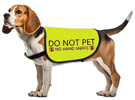 Lustige Hundejacke mit Aufschrift No Hand Sniffs Warnweste (groß)