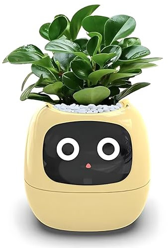 Vasi da Fiori Intelligenti, Vasi da Fiori Intelligenti AI per espressioni Multiple, Ai Chips 7 sensori Intelligenti, Display LCD, fioriera da Giardino con Controllo App, Temperatura del Tempo Yellow