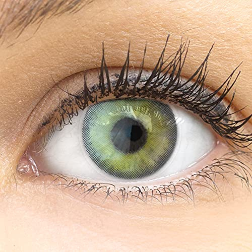 Glamlens lentilles de couleur jaune naturelles colorées très haute opacité Valencia R Yellow + étuis à lentilles de contact I 1 paire (2 pièces) I 90 Jours I sans correction I 0,00 Dioptries