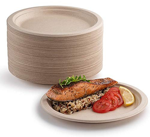 YIEN Superstarre Pappteller, 100% biologisch abbaubar und kompostierbar, umweltfreundlich, strapazierfähig, recycelbar, ideal für Picknicks, Grillabende (25,4 cm)