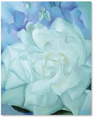 WANGLIDD Georgia O'Keeffe Prints Kunstdruck-Poster mit weißer Rose mit Rittersporn Wandkunst, ästhetisches Leinwandgemälde, Bild, Wohnzimmer-Dekoration, Zuhause, ungerahmt, 40 x 50 cm