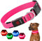 Sugiifamy Light Up Dog Collar, Dog Collar Lights for Night Walking Rechargeable Light Up Collars for Night with 3 Flashing Modes for Pet Safe (Pink, Large)