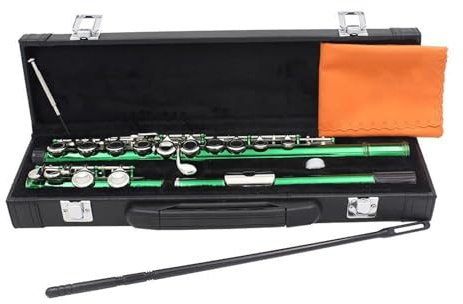Flauta travesera principiante Flauta 16 Agujeros Abiertos Cerrados Llave C Flauta Transversal Profesional Con Piezas Instrumento De Viento De Madera Principiante Conjunto De Fundas De Cuero(Green)