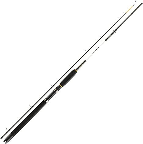 Daiwa Angelrute Sideplanerrute Downriggerrute - Accudepth 2,40m 12-25lb