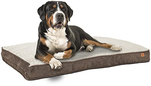 ib style Dreams Hundematte, Hundekissen waschbar, Hundematratze, Schlafplatz große Hunde, Hundebett, Abnehmbarer Bezug, XL Braun