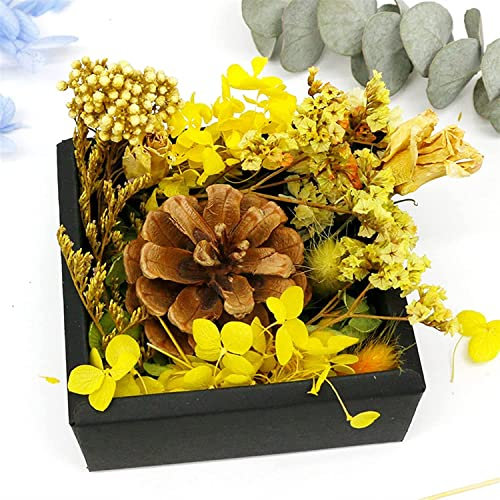 ZTZTZ Gepresste getrocknete Blumen, Blumendekor, getrocknete Blumen, DIY, getrocknete Blumen, trockene Pflanzen, Chrysanthemen, Räucherkerzen, Harz, Seifenherstellung, DIY, Bastelzubehör(Natural)