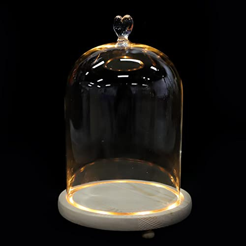 JUMPLAWN Hand Model Ornament with Glass Dome, White Decorative Statue | Glowing Design for Engagement or Anniversary Delicate Style, Desktop Accent Piece