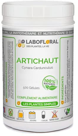 Artichaut Labofloral 500 gélules dosées à 260 mg - Complément alimentaire - Détox du foie, digestion, confort intestinal, élimination des graisses stockées - Fabriqué en France