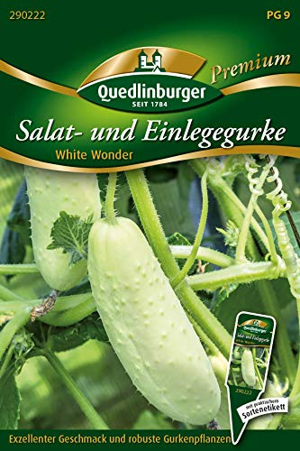 Quedlinburger 290222 Gurke White Wonder (Salatgurkensamen)