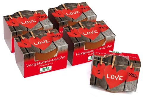 Bull & Bear 5er Set Mini Pflanzset 'I love you' mit Samen für Vergissmeinnicht im Topf 4,5cm, Blumensamen als Anzuchtset mit Pflegeanleitung