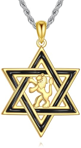 DAYLINLOVE Collar de estrella de David de plata de ley 925 con colgante de estrella de león de David, joyería judía cristiana, regalo para hombres y mujeres, Plata esterlina