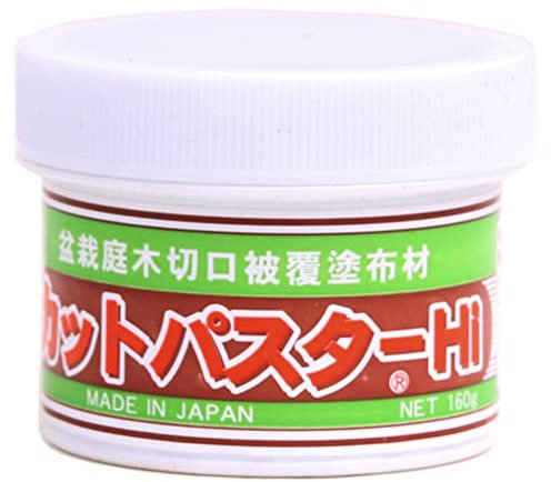 Bonsai - Wundpaste aus Japan für Laubbäume 190 gr. 61054