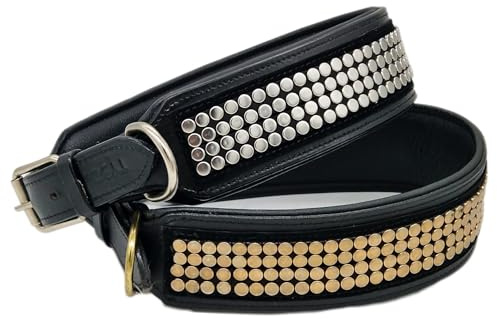 Lennox Hunde Halsband Leder Lederhalsband Nieten Nietenhalsband Schwarz Silber - Gold Farben BREIT ! M L XL Tysons Breeches (XL, Schwarz/Goldfarben)