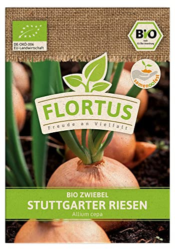 FLORTUS BIO Zwiebel Stuttgarter Riesen | Gemüsesamen | Zwiebelsamen | Samen zur Anzucht für Garten, Balkon, Küche & Fensterbank