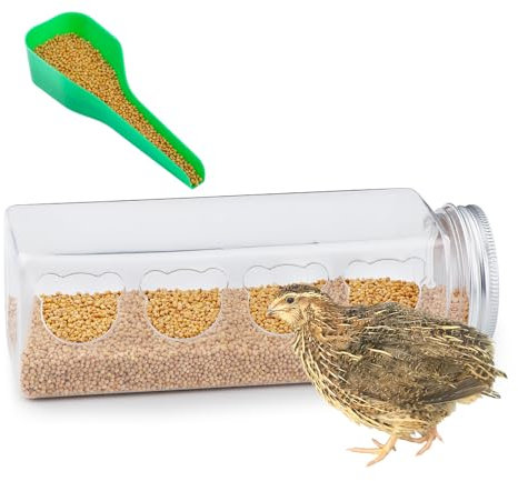 Quail Transparent Feeder Rutin Chicken Feed Box Chick Small Bird Seed Food Container with Food Spoon (4 Holes)