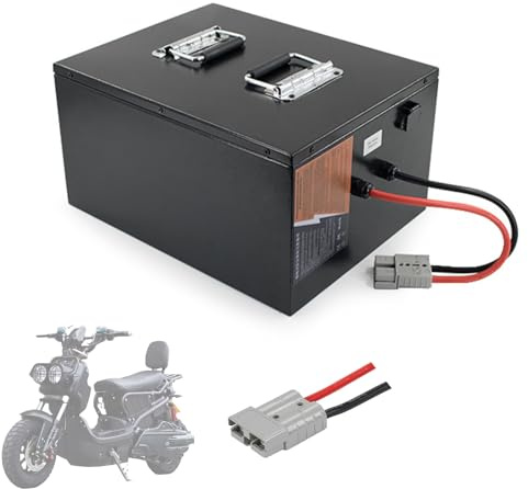 WILLQ Batteria Litio Ferro fosfato 60V 60Ah 40Ah Batteria Litio ad Alta Potenza 60 Volt per Carrello elevatore Elettrico Batteria Litio Potenza accumulo energia fotovoltaica,60v60ah