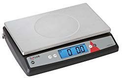 Taylor Precision TE66OS Portionskontrollwaage, digital, 30 kg x 2 g, 29,9 x 19,2 cm, abnehmbare und waschbare Plattform, Tara- und Hold-Funktionen, Auto-Off und Deaktivierung der Auto-Off