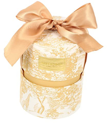 NUOBESTY Valentinstag Geschenkschachtel Für Süßigkeiten Elegante Papierbox Für Bonbons Und Kekse Kleiner Champagnerfarbiger Geschenkkarton Zur Feier Der Liebe