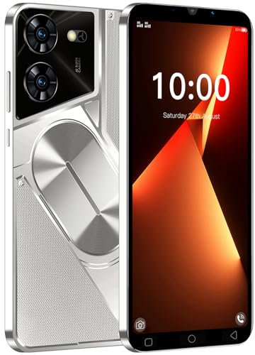 LatsYrs Basic Mobile Phone Unlocked with 5.0 inch IPS Display, 16GB ROM, Dual SIM Dual Camera,Android 9.0,Wifi,Bluetooth,FM (Pova5Pro-Silvery)