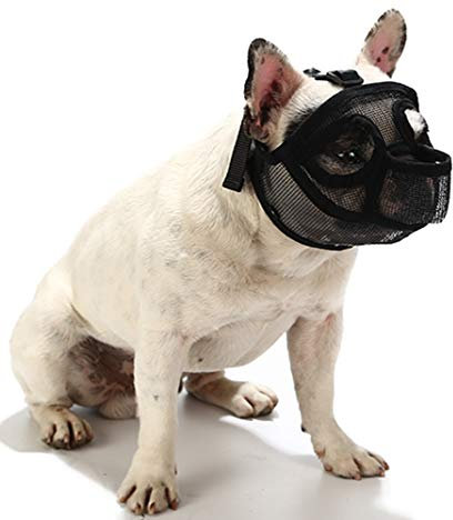 PETEMOO Maulkorb für Hunde mit abgeflachter Schnauze-verstellbar, atmungsaktiv: Englische Bulldogge, Französische Bulldogge, Pekingese, Shih-Tzu, Mops, auch für Katzen geeignet.