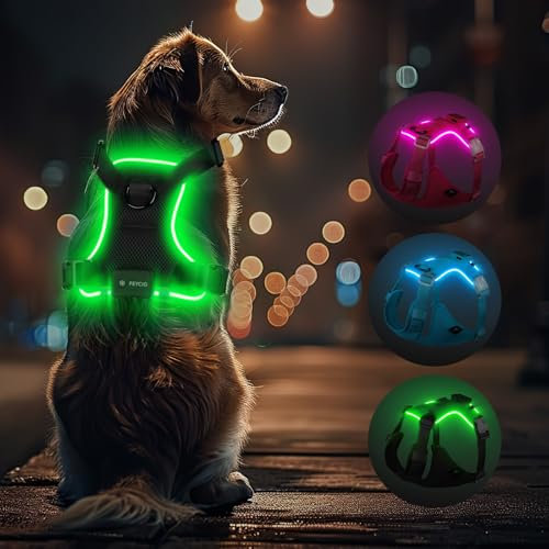 Light Up Dog Hundegeschirr Leuchtend LED Aufladbar - Leuchtgeschirr Leuchtend für Klein Mittelgroße Grosse Hund, Reflektierende Brustgeschirr Beleuchtetes Hundegeschirr, 4-Punkt Verstellbar,Schwarz,XL