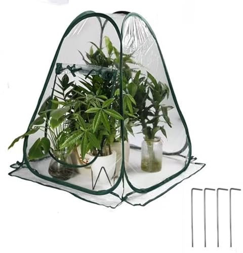 Morricho Pop Up Gewächshaus Klein Überwinterungszelt für Pflanzen Frostschutz, Zimmergewächshaus, Mini Gewächshaus, Pflanzenzelt zum Überwintern (70 x 70 x 80 cm)