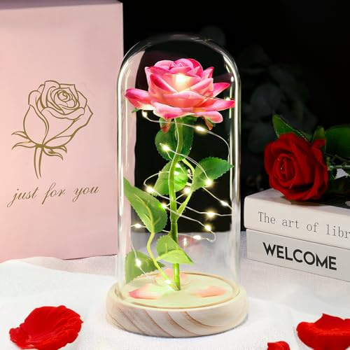 DEEMEI Eternal Roses in Glass with LED Lights, Gifts for Women Mum, Pink | Birthday Rose Gifts, Mothers Day Light Up Rose in Glass Dome with LED for Mum Wife Daughter Artificial Roses for Anniversary
