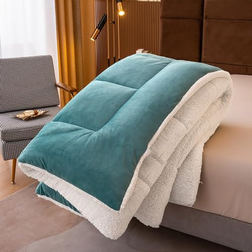 HUJZJY Daunendecke Extra Warm Bettdecke, Waschbare Bettdecke Ohne Bezug, Luftige Federdecke Baumwolle, Besonders Flauschig & Waschbar Bei 60°, Nachhaltige Stepp-Decke (F 180X220cm(4kg))