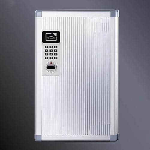 Caja de Seguridad para llaves con Código de Montaje en Pared, Armario para llaves con Etiquetas y 2 Cerraduras Electrónicas con Sensor, para Coche, Oficina, Casa, Garaje, Alquiler de Negocios(24keys(2