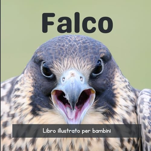 Falco: Libro illustrato per bambini