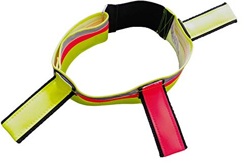 Fritzmann Hunde- Signalhalsband 40-55 cm