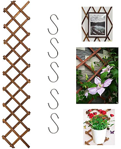 KAZITOO Garten-Rankgitter aus Holz, erweiterbarer Pflanzenzaun mit 5 S-Haken, Faltbarer Hängerahmen, Rankgitter für Kletterranken, hängender Blumentopf (0.7 cm dick, karbonisierte Farbe)