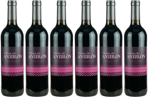 Bodegas Valdovinos Viñas de Antillón Crianza Somontano DO 2020 Trocken (6 x 0.75 l)