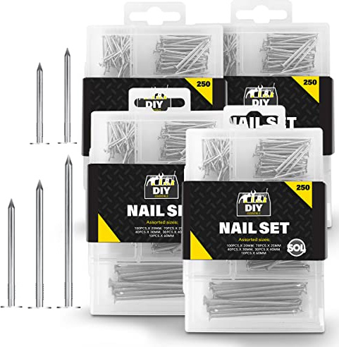 SOL 1000pk Nail Set - Assorted Iron Nails 20-60mm with Storage Box | Storage box included, for picture hanging, brickwork, walls and general woodworking repairs