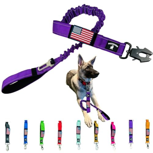 Heavy Duty Bungee Dog Leash - Shock Absorbing, Seat Belt Clip, Quick Release Frog Clasp, Double Padded Handles, for Large and Medium Dogs, Durable for Training, Walking, Car Safety, Outdoor Adventure