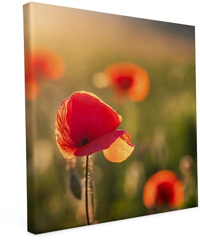 Keilrahmen bedruckt, Wandbild auf Künstler Leinwand, matter Kunstdruck, Stabiler Holzrahmen mit kratzfestem 280g Canvas bespannt, Motive zum Thema Natur (50x50cm - Mohnblumen)