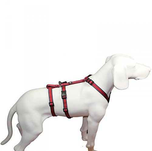 Hoffmann No Exit ausbruchsicheres Hundegeschirr für Angsthund, Sicherheitsgeschirr für Pflegehund, Panikgeschirr, rot Muster, Bauchumfang 50-65 cm, 20 mm Bandbreite