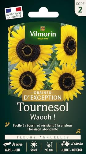 VILMORIN Tournesol Waooh! Vilmorin série 2