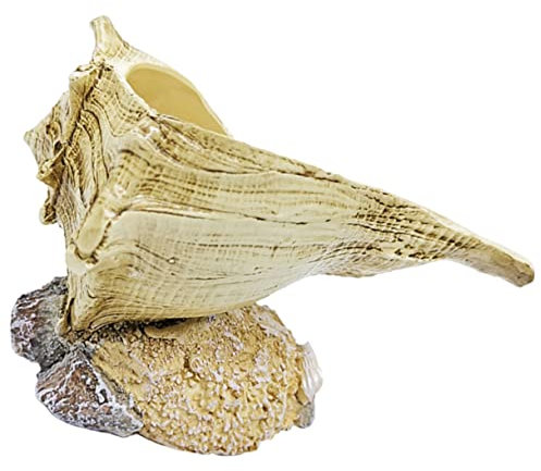Milisten 2St Conch Blumentopfhalter Muschelseifenbehälter Pflanzgefäß für den Außenbereich Pflanzendekor Töpfe für Pflanzen Bonsai-Töpfe Muschelschale Pflanzer Sukkulenten Kindergarten Büro