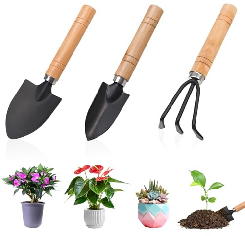 3 Pièces Outils de Jardinage, Mini Outils de Jardinage, Mini Outil de Jardin, Outil de Jardinages à Main avec Manches en Bois, Pelle, Bêche, Râteau, pour Balcon Potager Plantes Grasses