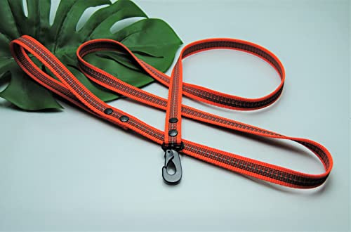 reflektierende gummierte Hundeleine Orange 2m x 20mm mit Schlaufe, Schweden-Haken