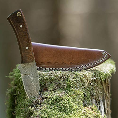 elToro Walnut, Damast, Jagdmesser, 8,3cm, inkl. Lederscheide | Messer für Camping, Outdoor, Survival, Wald und Forst