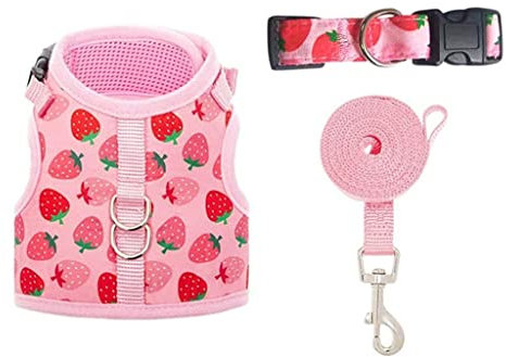 Hundegeschirr mit Cartoon-Kaninchen-Aufdruck, Mesh-Brust, niedlicher Riemen für Haustiergeschirr, Weste für Kleintiere, Chihuahua, Teddy, Yorkshire, Mops