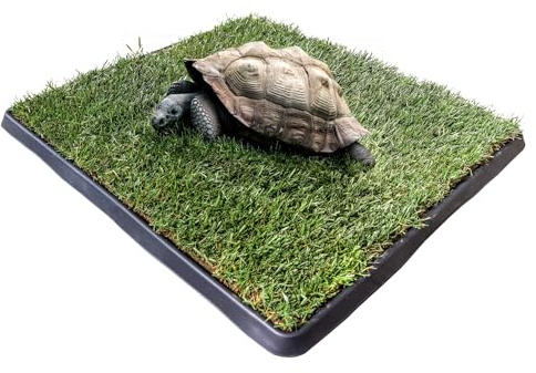 Kit XL Tartarughe PetZolla 100x90 cm - Terrario Tartarughe terra in Vera Erba Naturale con Vassoio Riutilizzabile - Casetta per tartarughe di terra Naturale - Dura fino a 5 mesi