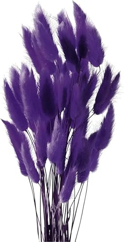 50PCS Pampasgras Trockenblumen, 45 cm Natürliche Lagurus Getrocknet Blumen Getrocknetes Schilfgras Getrocknetes Pampasgras für Hochzeit Hause Party Wedding Büro Fotografie Vase Deko (Dunkelviolett)