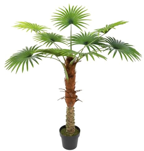Palmera 1 tronco, Normal